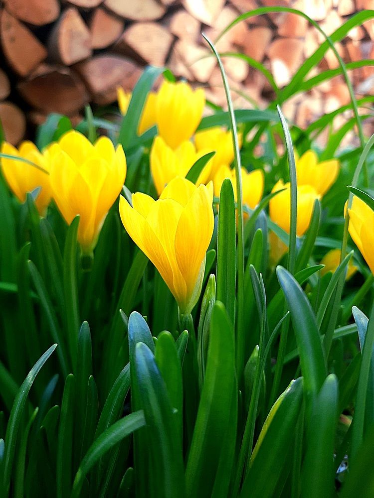 Photograph by Jelena Vasic