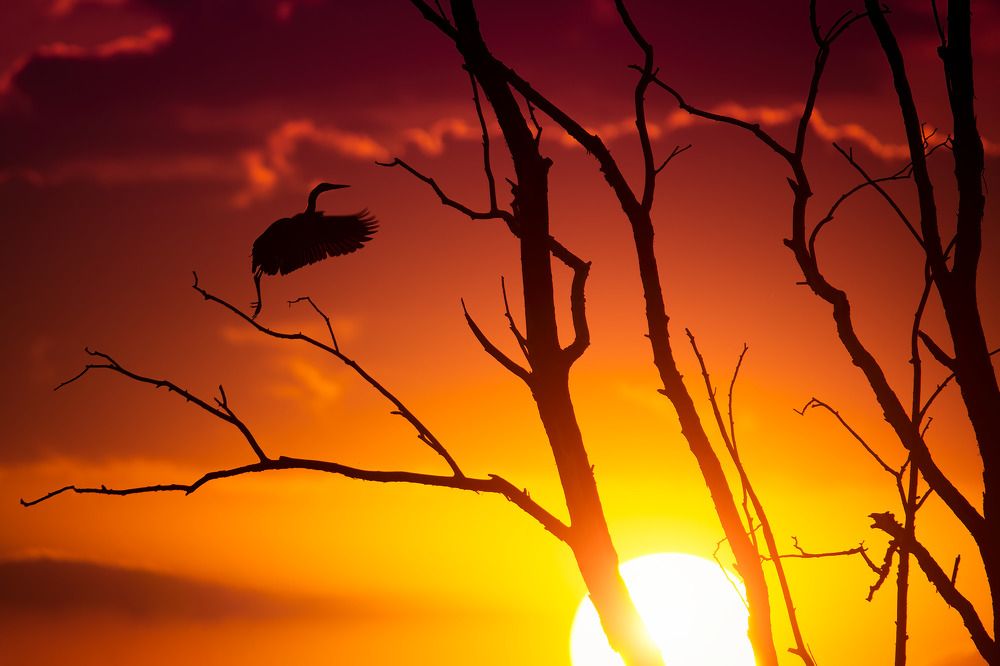 Photograph by Поляков Михаил