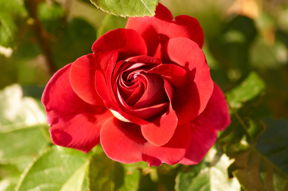 Photograph by Igor Kochkin