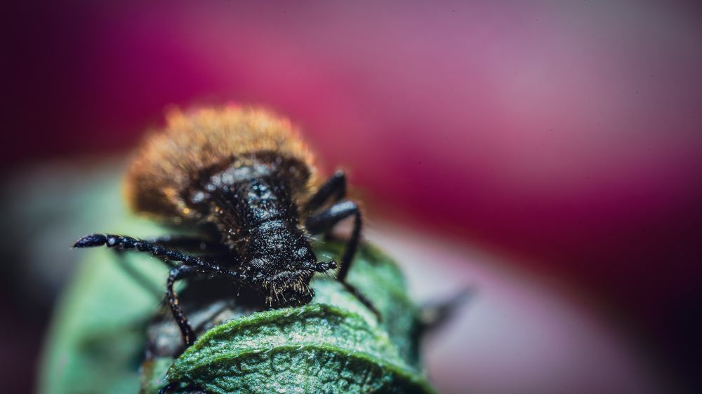 Photograph by Антон Дроздов