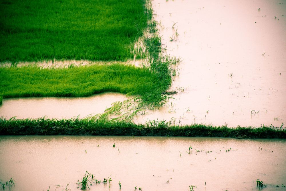 Photograph by Farhin Azmee