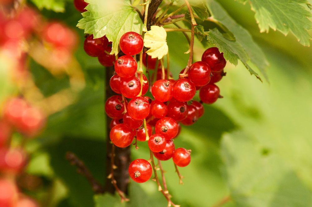 Photograph by Igor Kochkin