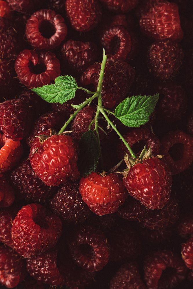 Photograph by Богдан Тарасов