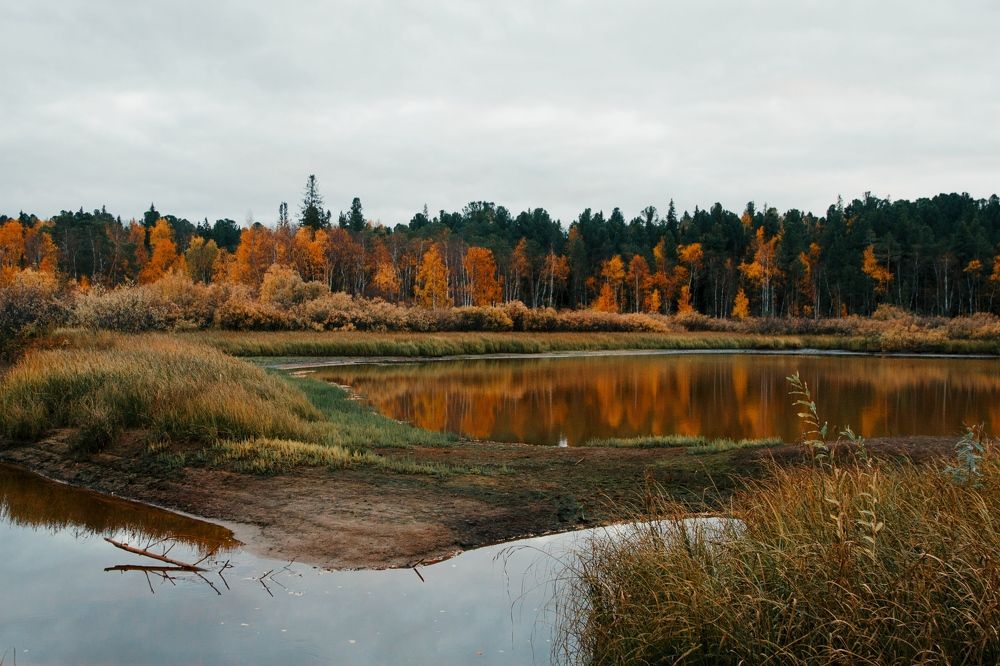 Photograph by Григорий Шишонков