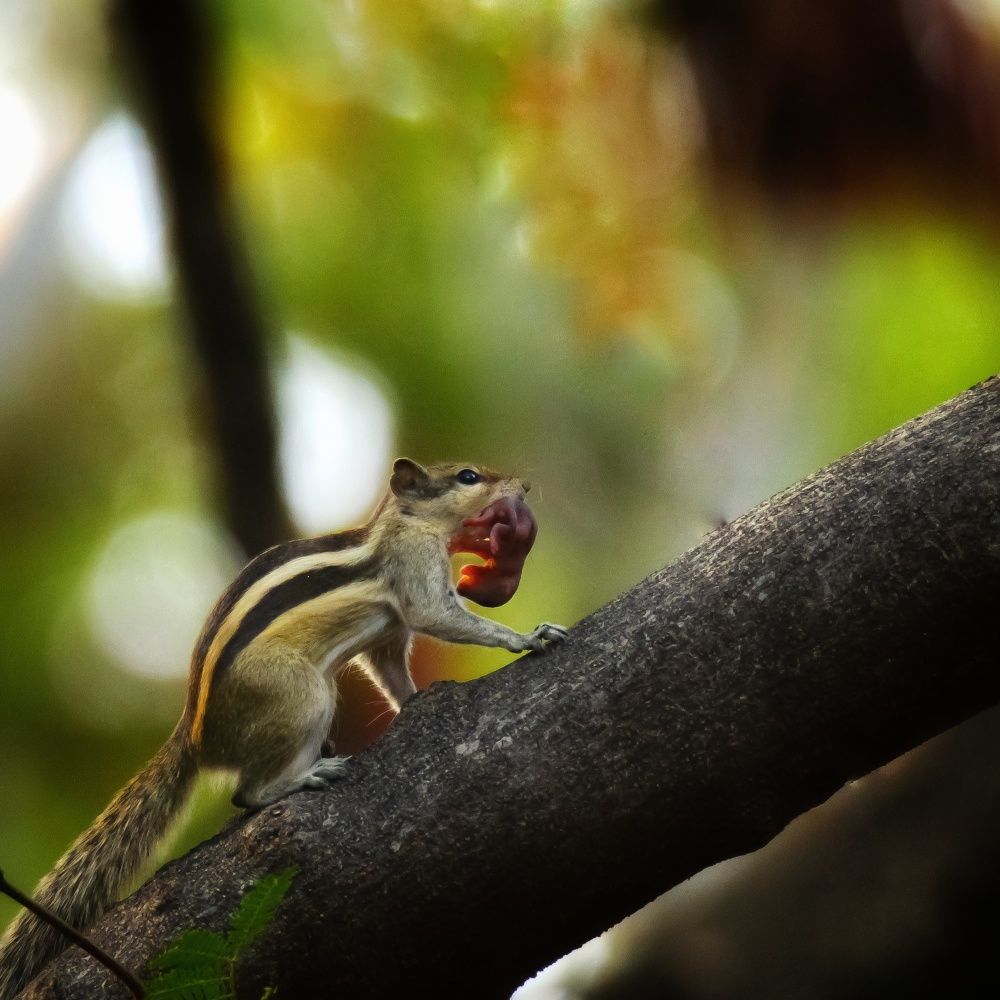 Photograph by Dipti Ramavat Sharma