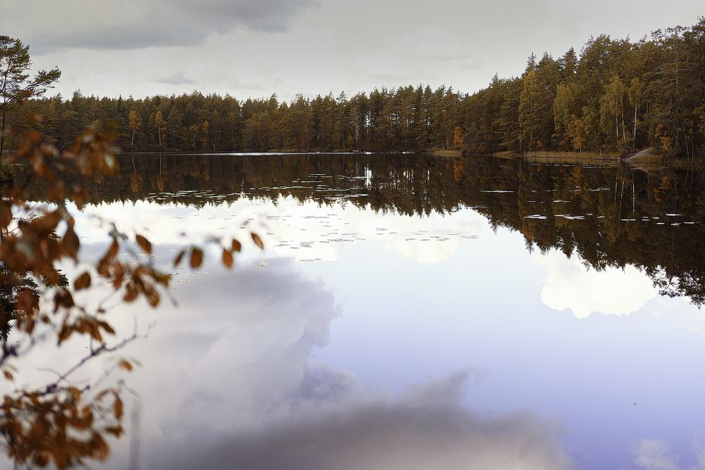 Photograph by Anna Sindikayeva