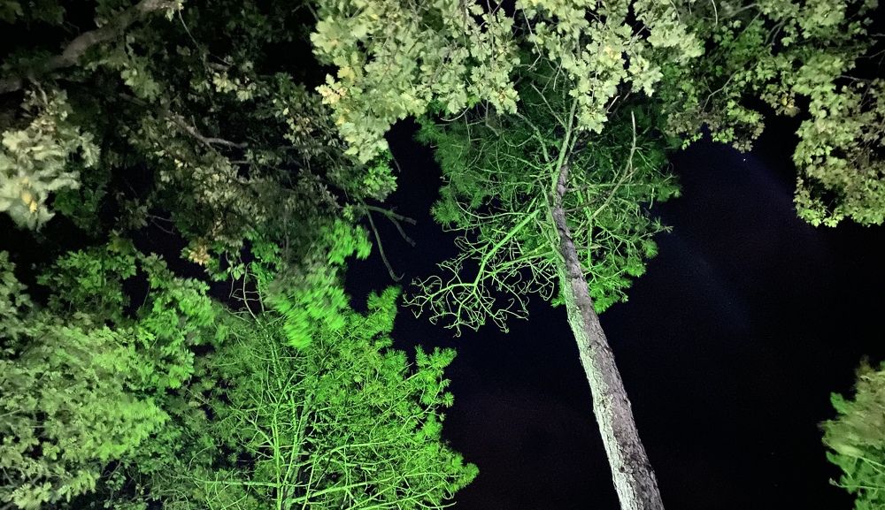 Photograph by Сергей Смирнов