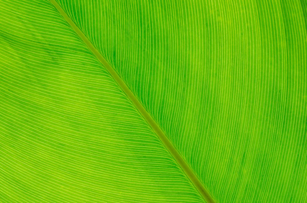 Photograph by Анастасия Кашенко