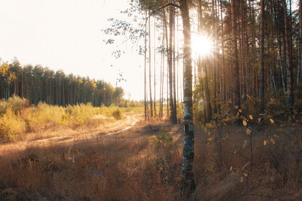 Photograph by Игорь Тихонов