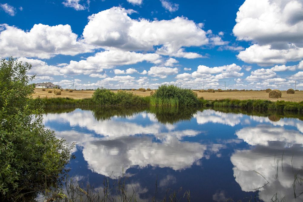 Синий цвет - 18