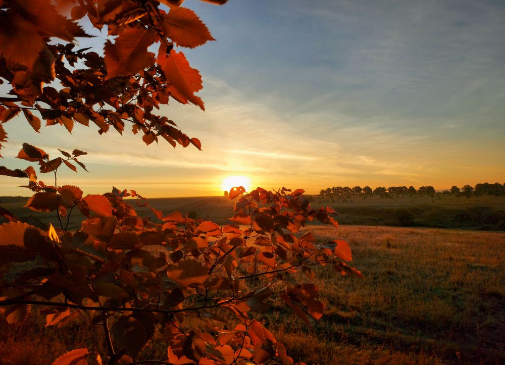 Красный восход