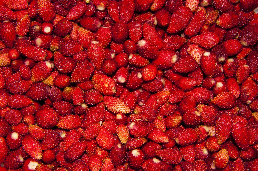 Красный цвет - 6