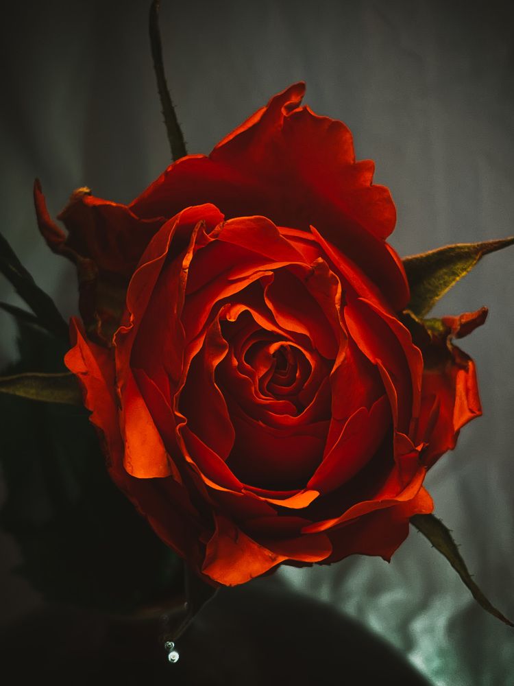 Фотография автора Рамзия Хисамутдинова