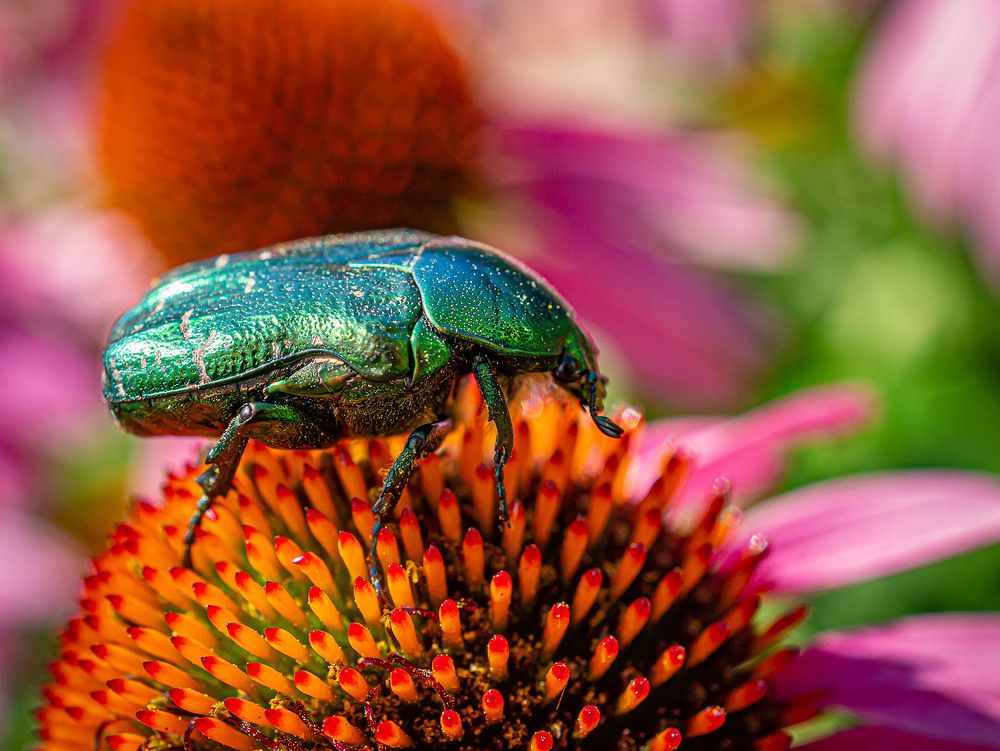 Photograph by Василий Губский