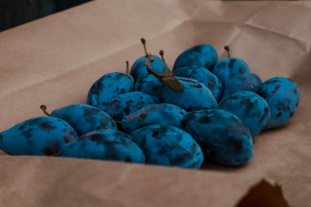 Photograph by Алия Аткельтирова