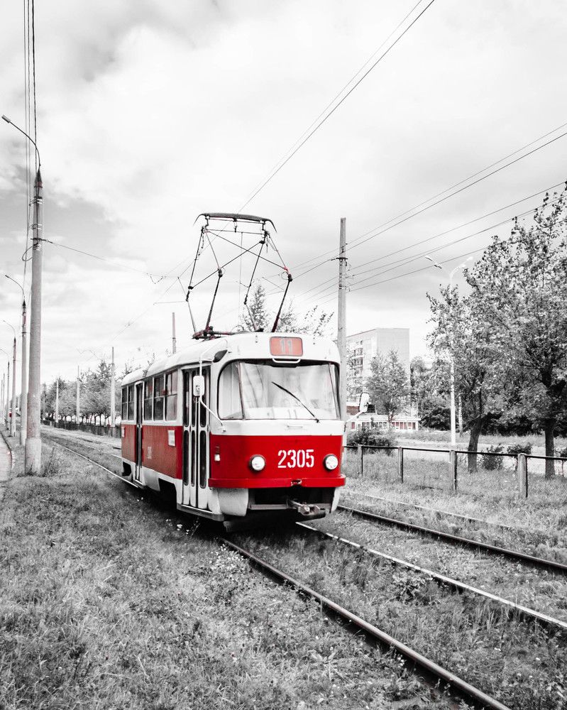 Фотография автора олег романов