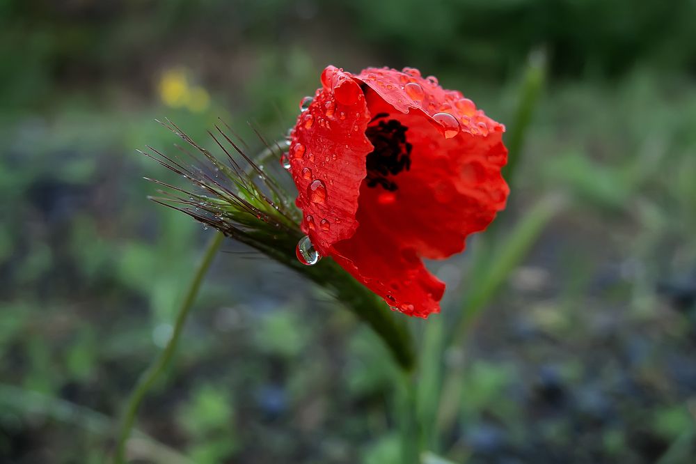 Photograph by Виталий Павлов