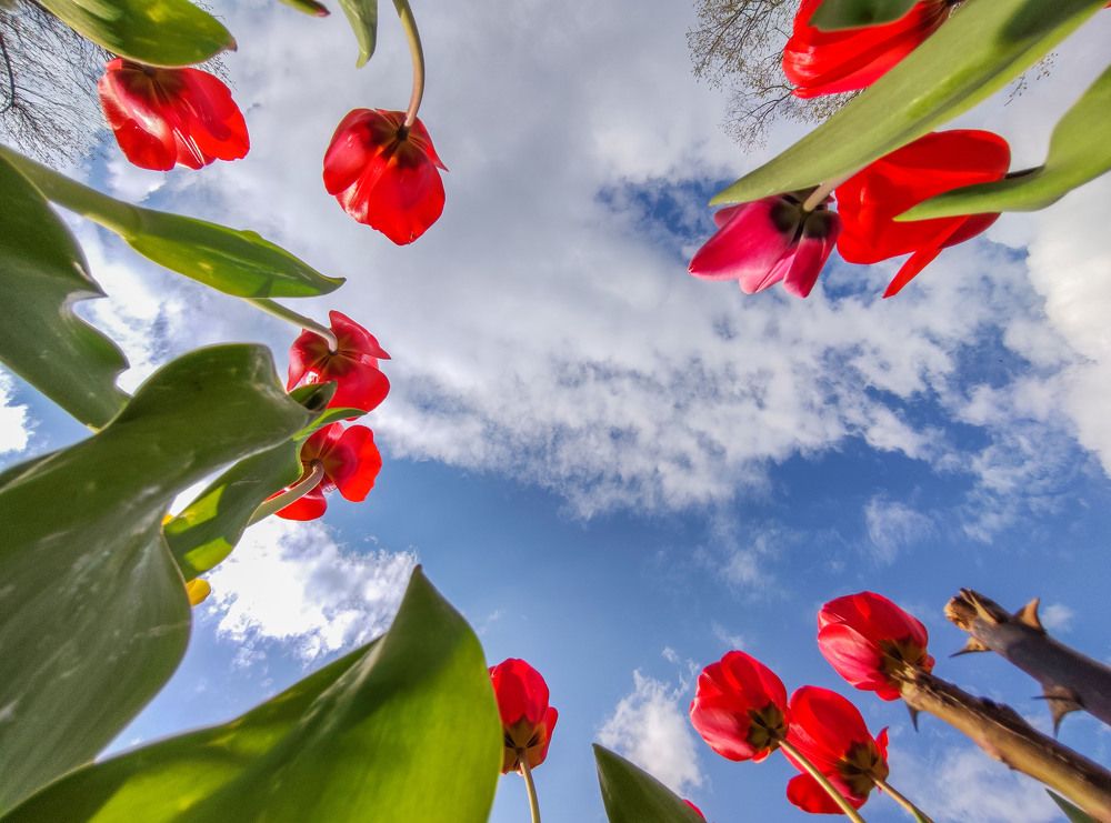 Photograph by Дина Горбачёва