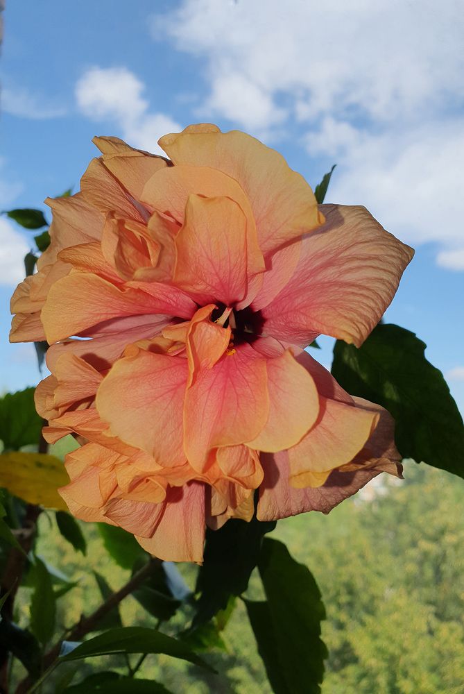 Фотография автора Надежда Лисицына