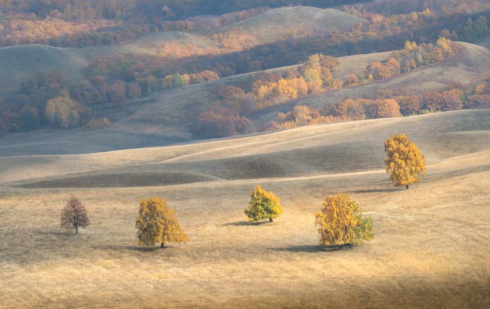 Фотография автора Евгений Иванов