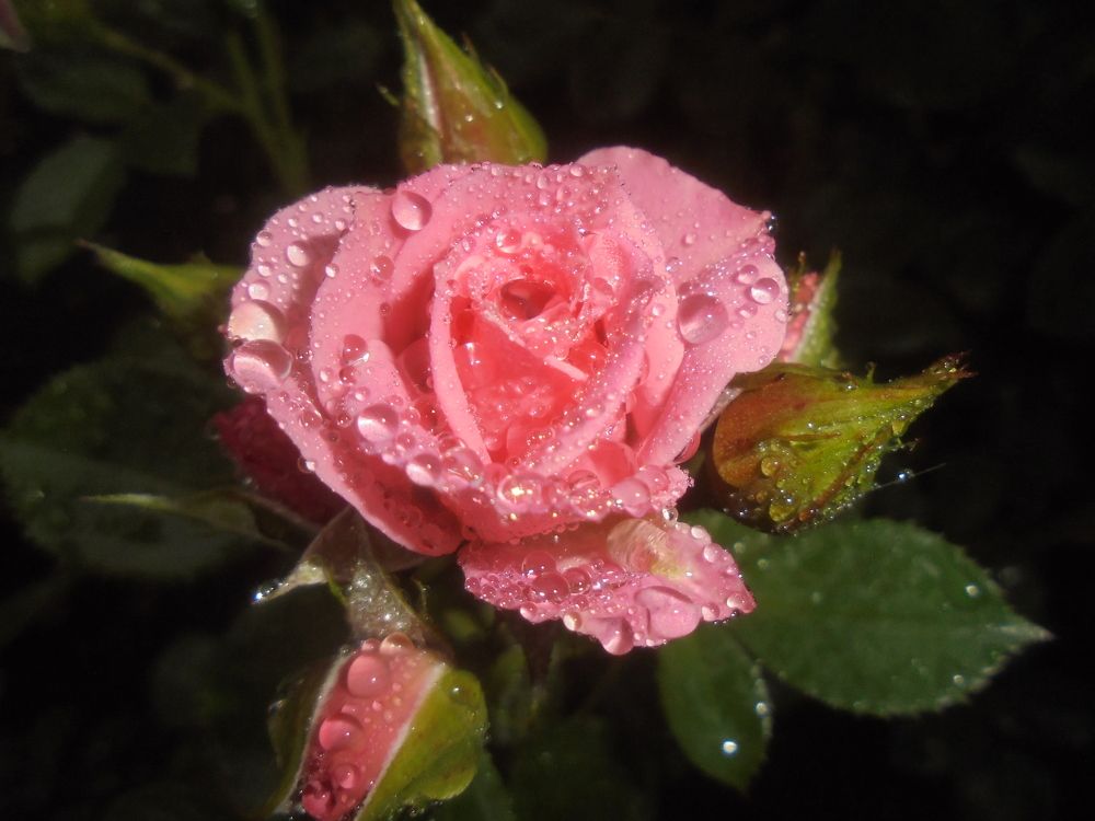 Photograph by Лилия Исхакова