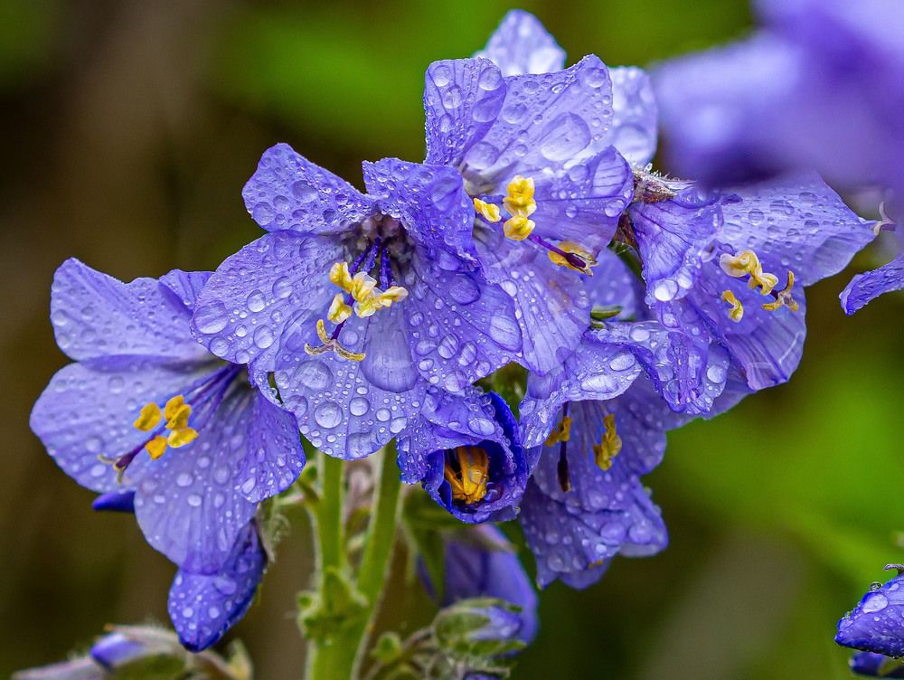 Photograph by Василий Губский