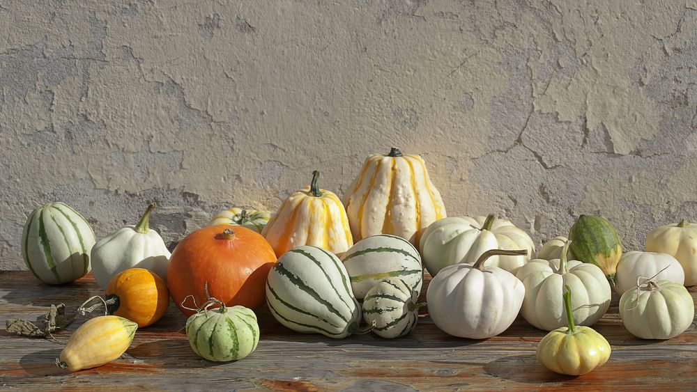 Фотография автора Alena Makushina