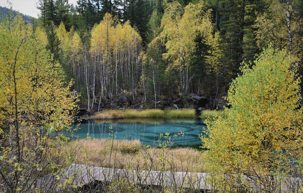 Photograph by Ольга Струкалина