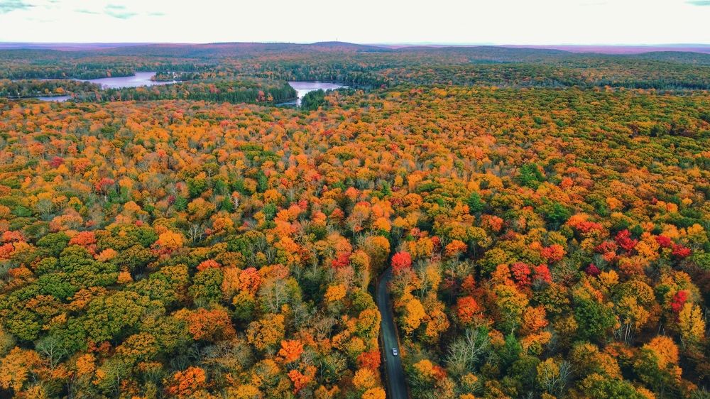 Фотография автора Manoj Kulkarni