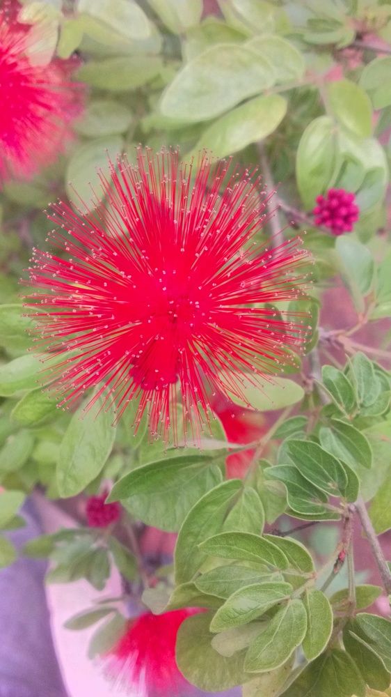 Фотография автора Ganesh Varma