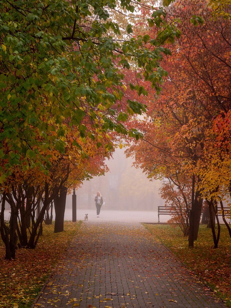 Photograph by Дмитрий