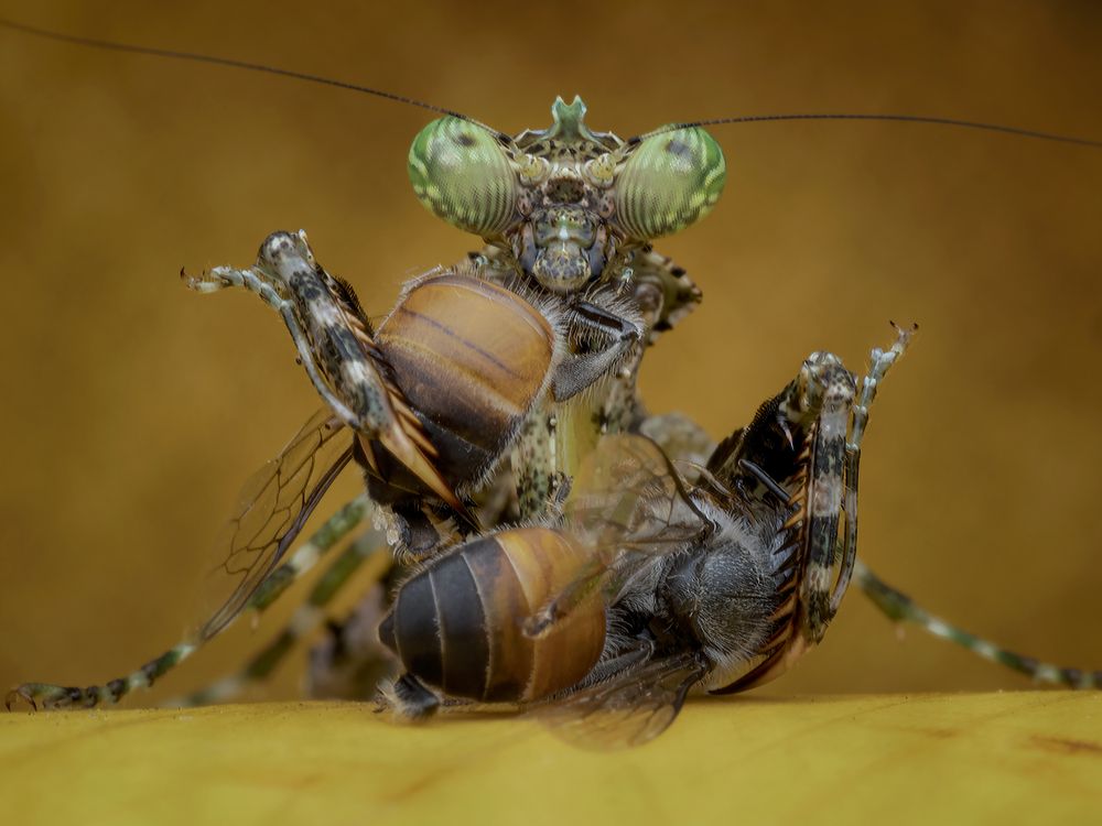 Photograph by way pang