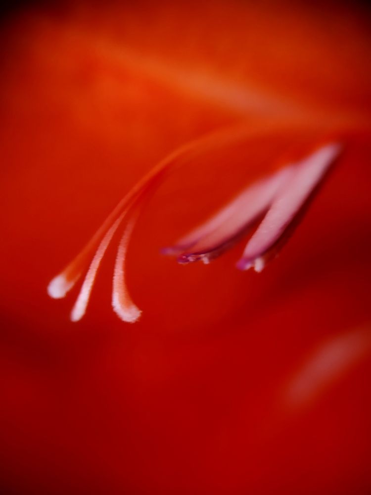 Photograph by Юлия Смирнова