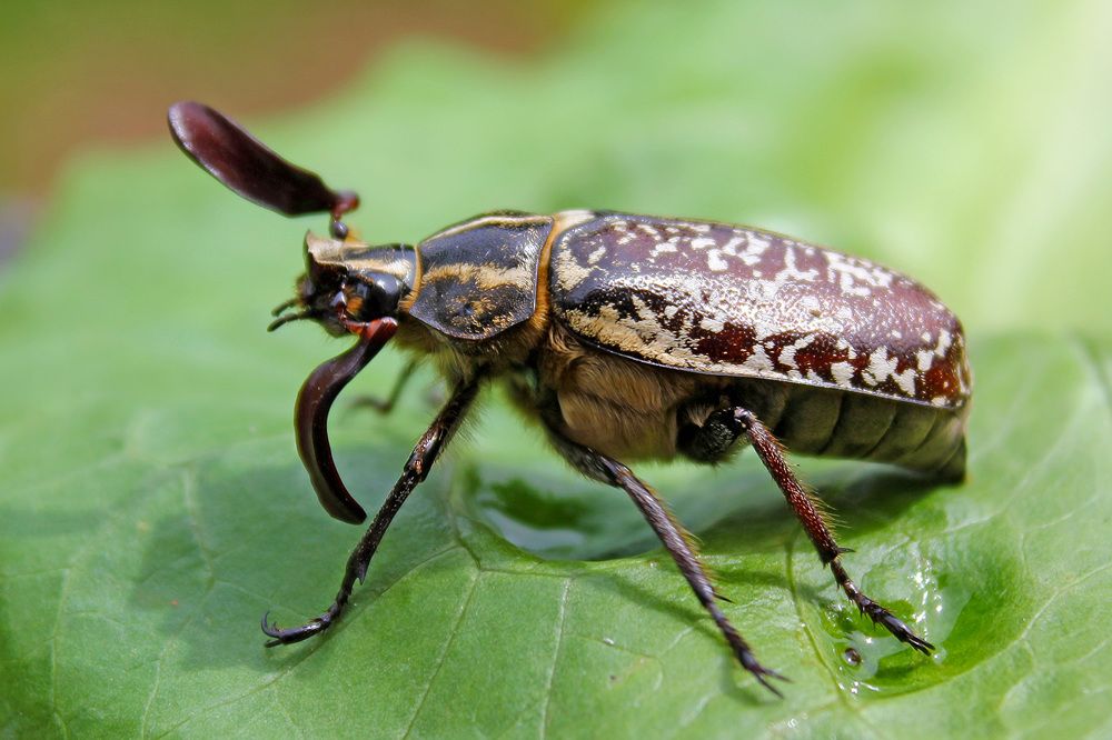 Photograph by Matko Matkovic