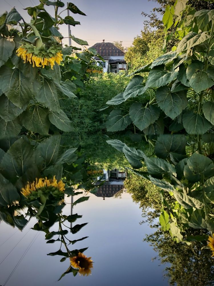 Фотография автора Natallia Kirpichova