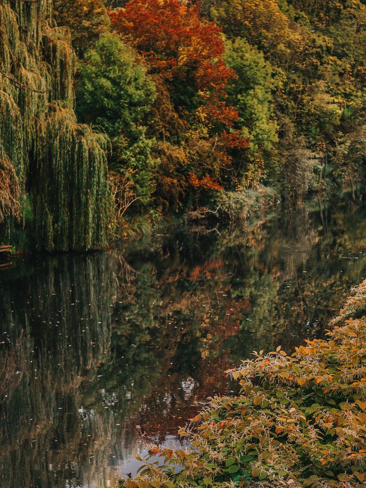 Photograph by Ксения Лаевская