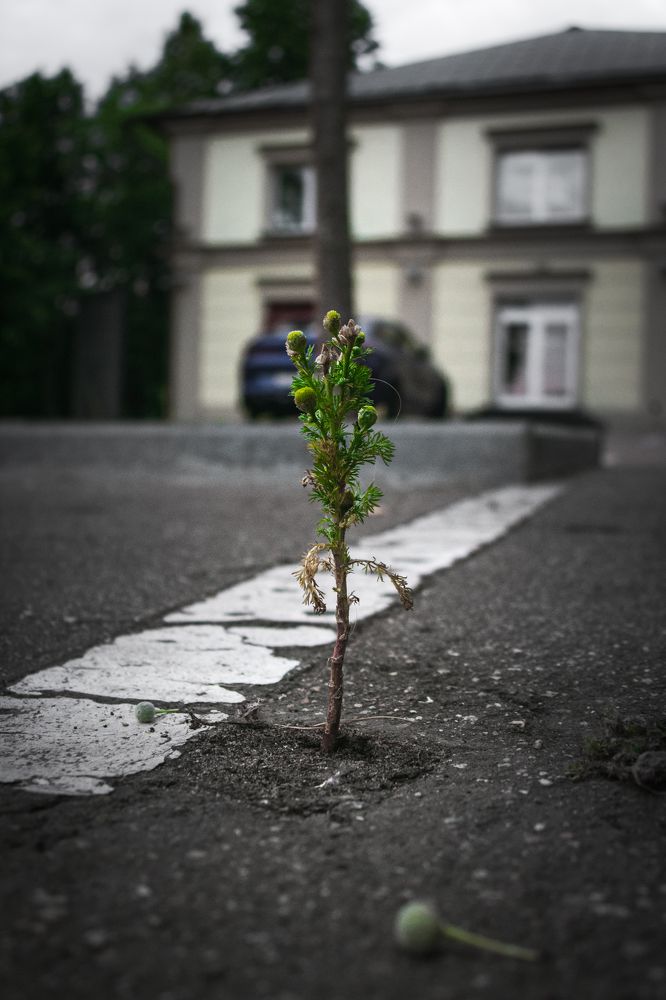 Фотография автора Андрей Жуков