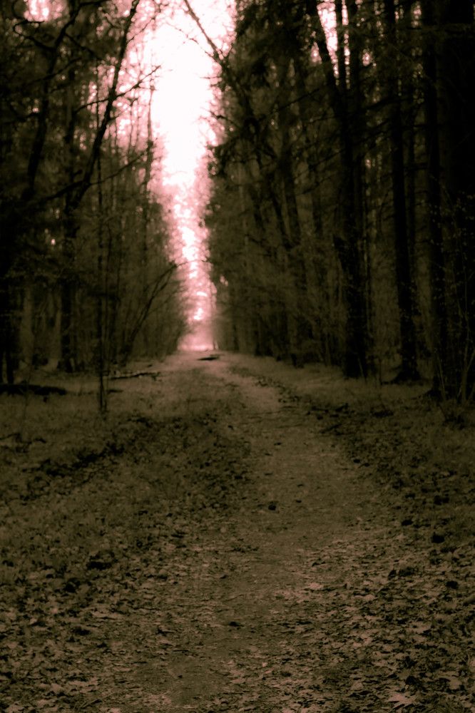 Photograph by Сергей Аникушин