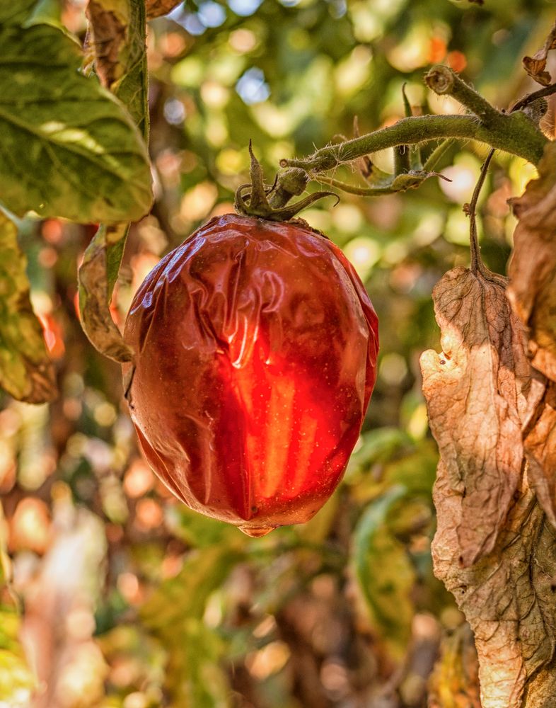 Photograph by Dragan Leles