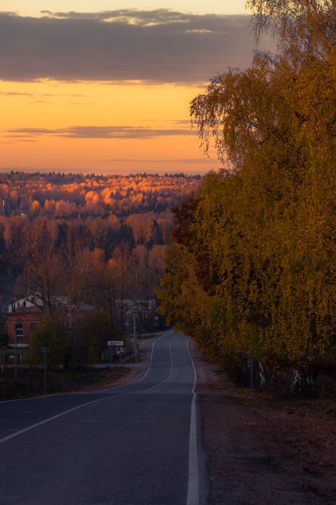 Photograph by Света Богоявленская