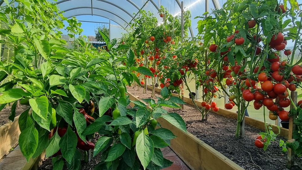 Photograph by Виктор Землянкин