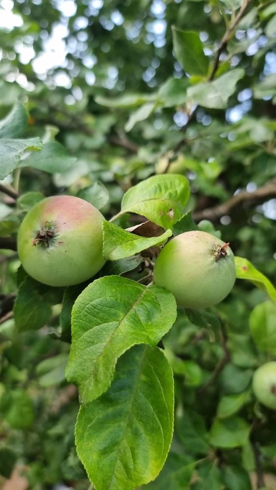 Photograph by Виктор Землянкин