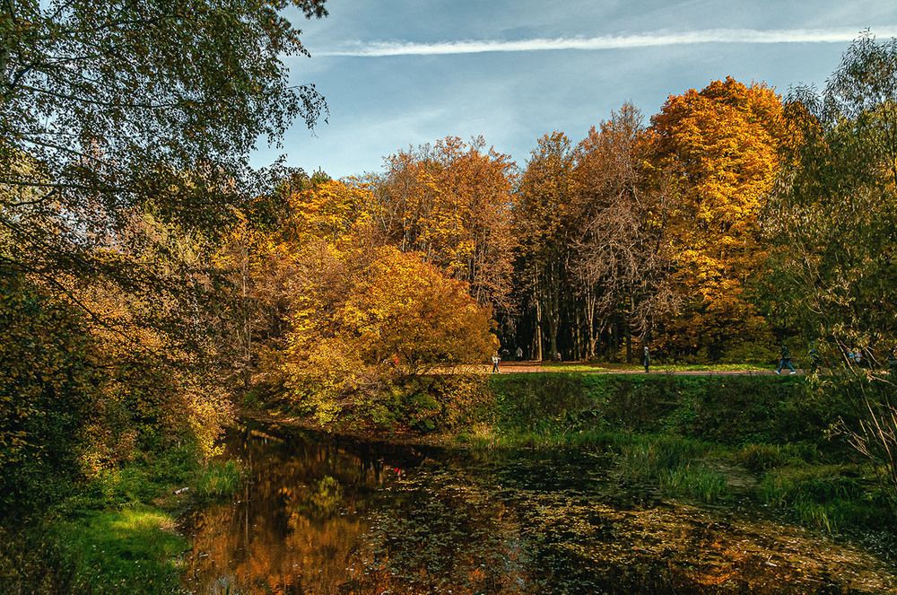 Photograph by Vladimir  Komarov