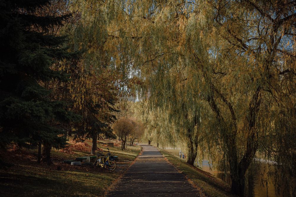Фотография автора Ксения Вабищевич