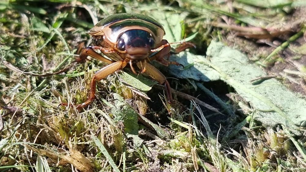 Photograph by Виктор Землянкин