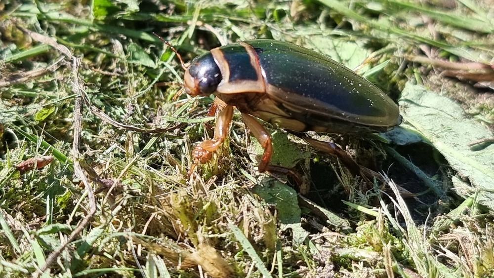 Photograph by Виктор Землянкин