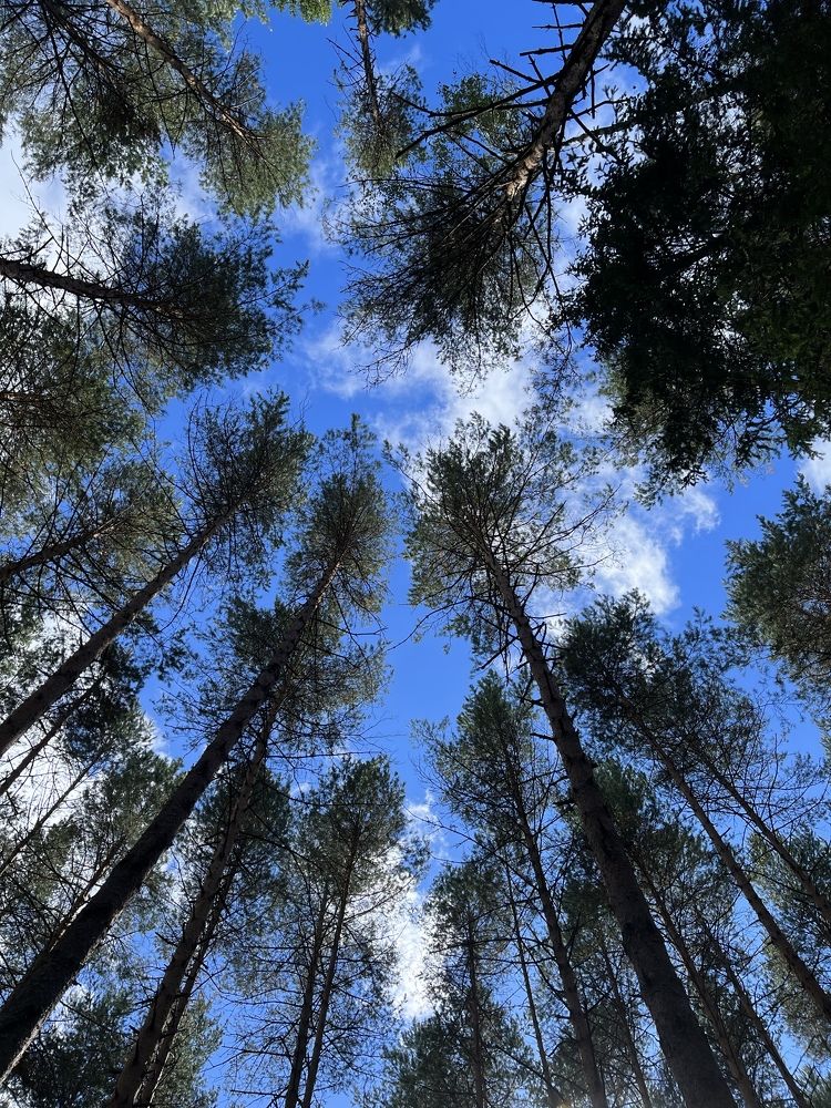 Photograph by Maria Kurakhtanova