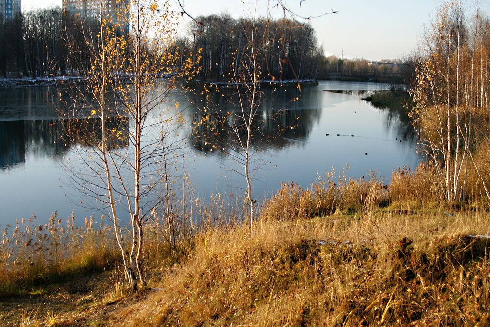 Photograph by Ирина Архипова