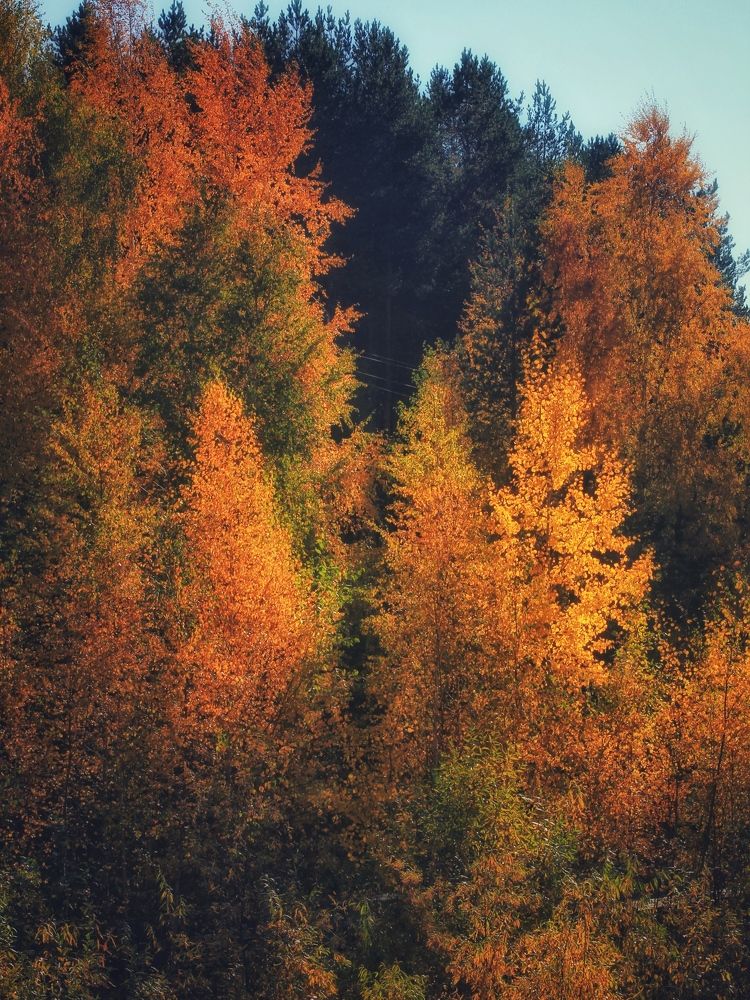 Photograph by Елена Дегтяренко