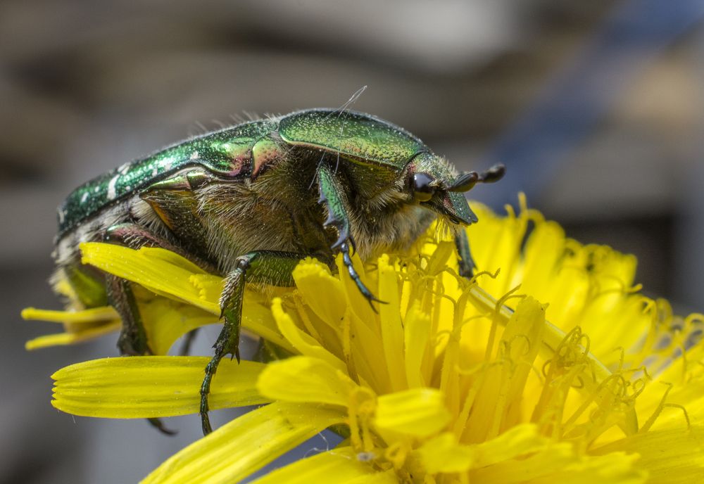 Photograph by Николай Лысцев